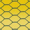 Hexagonal Wire Mesh